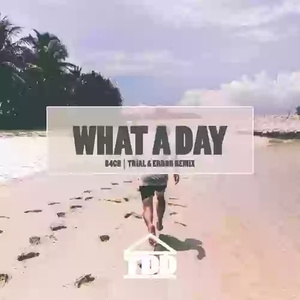 What A Day (Trial & Error Remix)