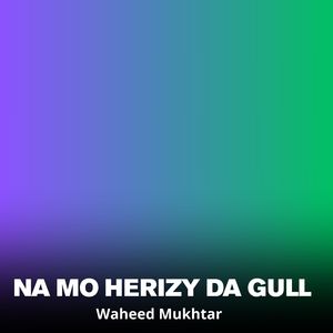 Na Mo Herizy Da Gull