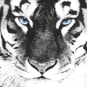 TIGERLOUD (prod. WXRST)
