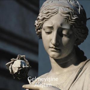 Gelmeyişine Alıştım