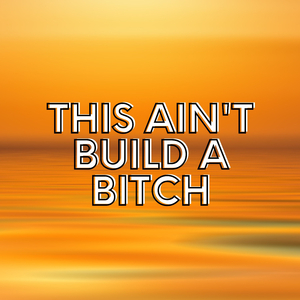 This Ain't Build a *****