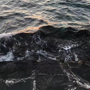 红蔷薇白玫瑰（0.9x）