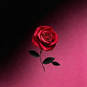 Fallen love