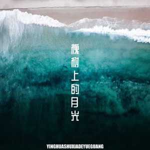 槐树上的月光