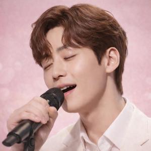 세월은 총알처럼