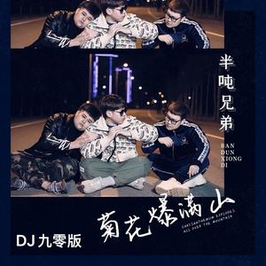 菊花爆满山 (DJ九零版伴奏)