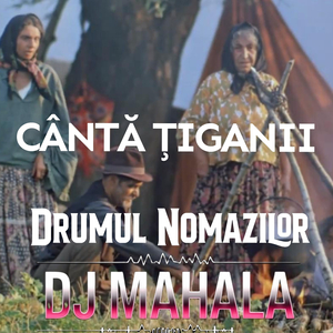 Cântă Țiganii Drumul Nomazilor