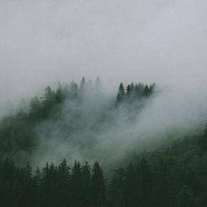 The Divine Manuscript