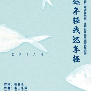 我还年轻 我还年轻