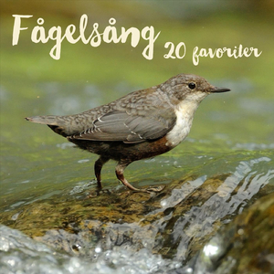 Fågelsång och porlande vatten