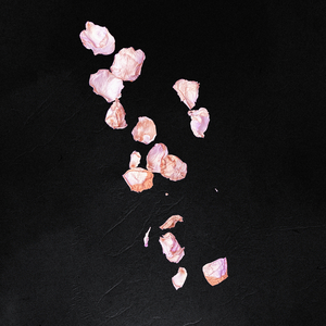 Stolen Youth (with Famous Last Words & Outline in Color)