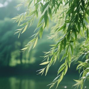 雾散见渔火