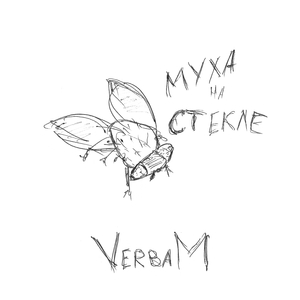 Муха на стекле