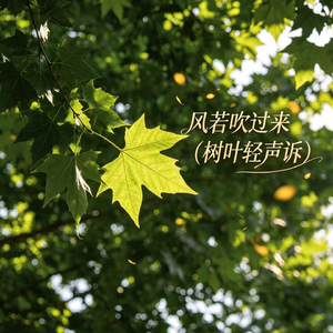 风若吹过来（树叶轻声诉）