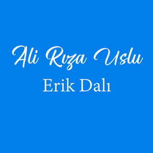 Erik Dalı