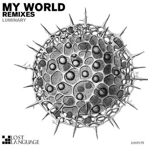 My World (Amir Abbasi Remix)