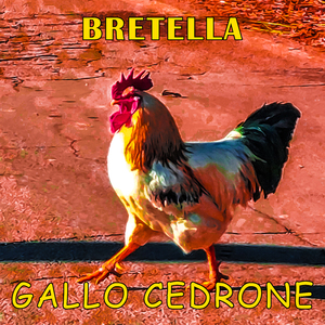 Gallo Cedrone