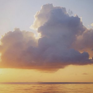 崩溃边缘的独白