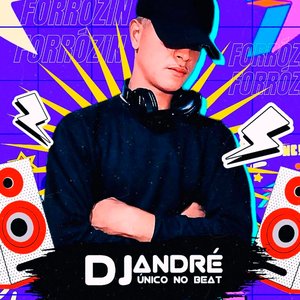 Me Chamou pra Sua Casa pra Assistir uma Netflix (Forrozin)