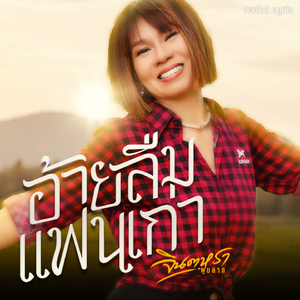 อ้ายลืมแฟนเก่า