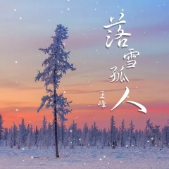 落雪孤人 (DJheap九天版)