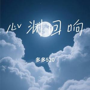 心渊回响