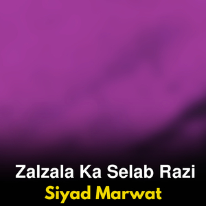 Zalzala Ka Selab Razi