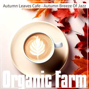 Shimmering Silk Swing