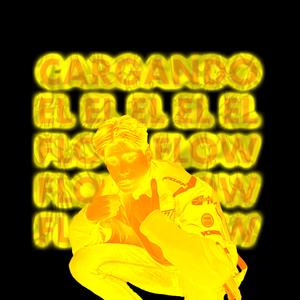 Cargando el Flow