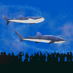 浦添前田(우라소에마에다) 浦添前田(Urasoe-Maeda)