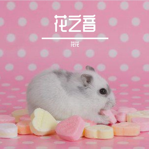 风吹花香