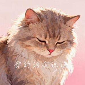 你的泪会说谎 (Cover 田一龙)