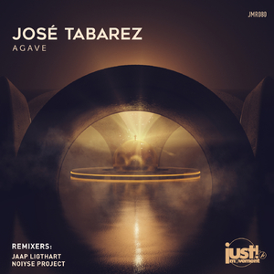 Agave (Jaap Ligthart Remix)