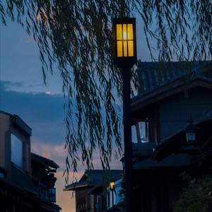 春风不解意（翻自 解忧邵帅）