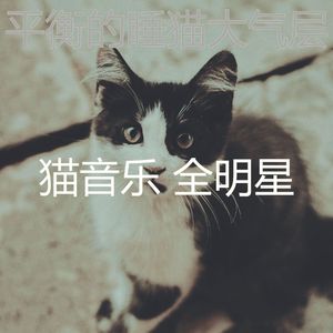精彩睡猫环境