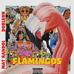 Flamingos
