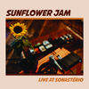 Sunflower Jam - Quero Te Encontrar (Live)