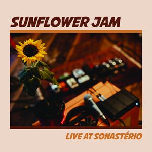 Lonely Boy (Live)