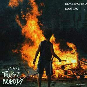 DJ Snake-trust nobody（blacking neyo remix）