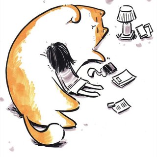 日系治愈|像阳光下的慵懒小猫一样温柔