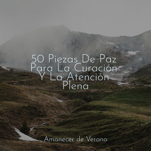 Sueño de Pétalos Sonrojados