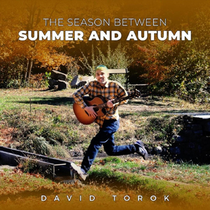 Fool's Gold (feat. Shannon Vanderlaan & Christopher Patrick Dubuc-Penney)