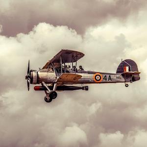 Pilot