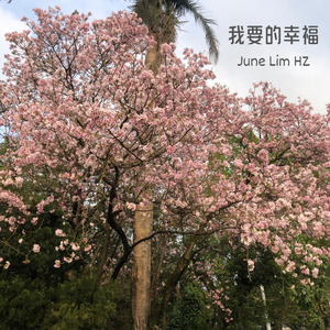 我要的幸福