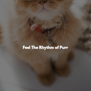Playful (Music)