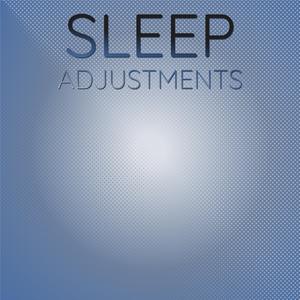 Sleep Adjustments