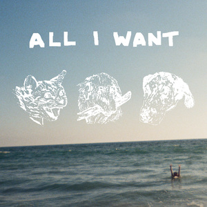 ALL I WANT