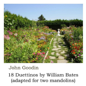 Duettino VII: 1. Andante (Arr. for Two Mandolins)