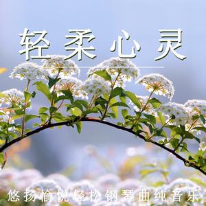 轻柔心灵（治愈钢琴）