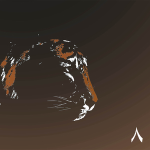 Instinctive (Radio Edit)